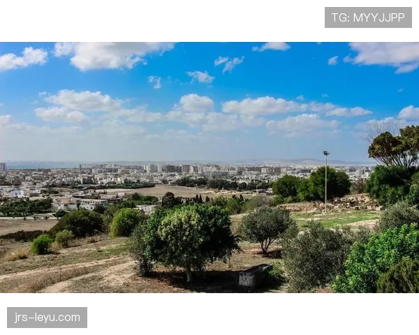 突尼斯迦太基之鹰迎战未来挑战,重铸历史荣光引关注 突尼斯迦太基之鹰迎战未来挑战,重铸历史荣光引关注